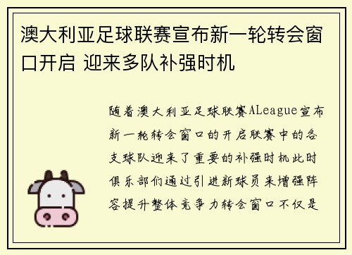 澳大利亚足球联赛宣布新一轮转会窗口开启 迎来多队补强时机
