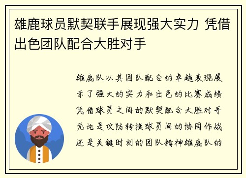 雄鹿球员默契联手展现强大实力 凭借出色团队配合大胜对手